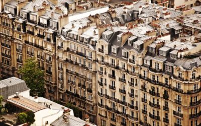 Invasion de nuisibles dans votre logement : du nouveau avec la loi Elan !